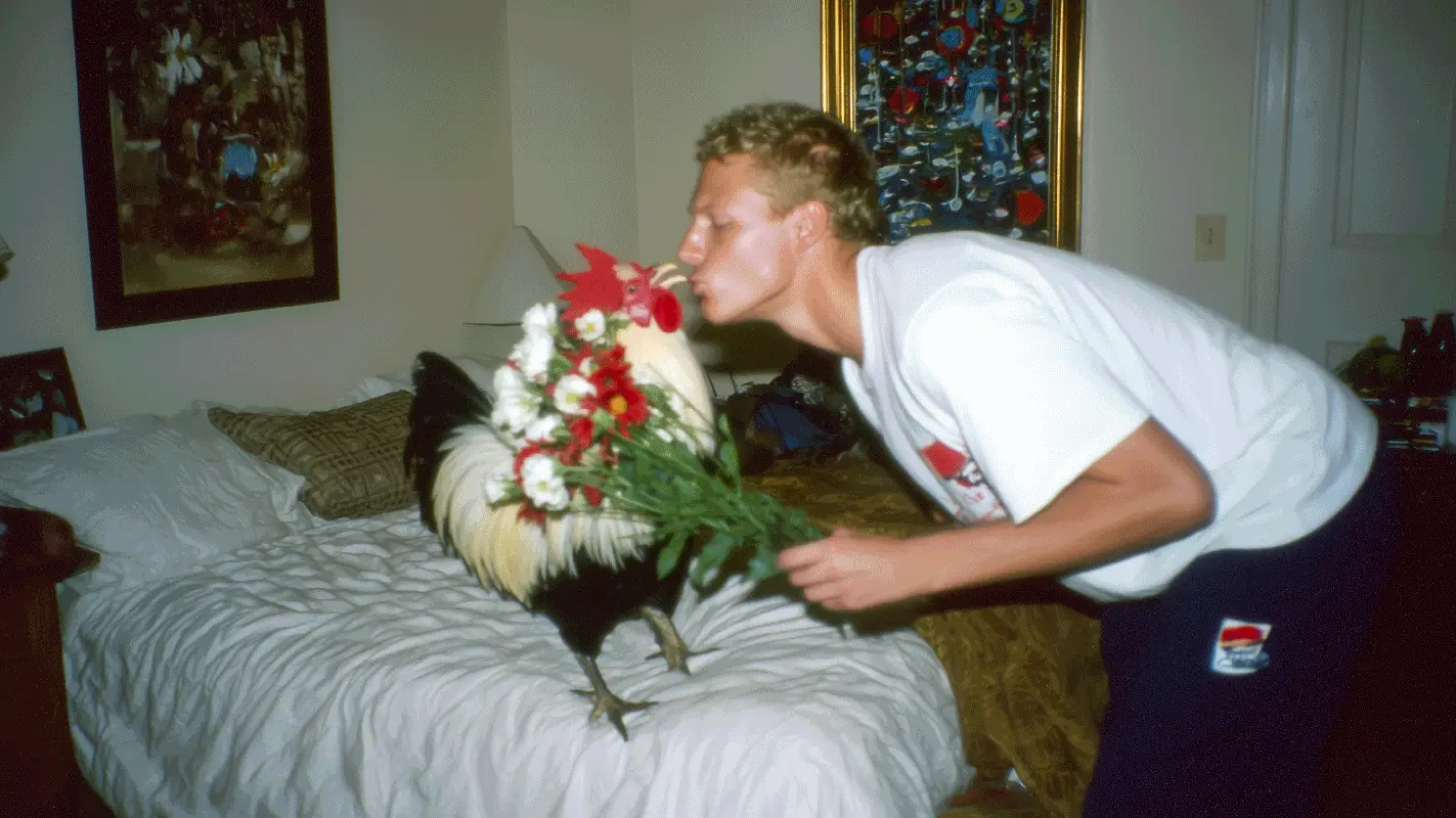 Vintage-Schnappschuss in einem Schlafzimmer: Ein junger Mann mit kurzen blonden Locken in weißem T-Shirt küsst einen schwarz-weißen Hahn, dem ein Strauß roter und weißer Blumen um den Hals gebunden ist, beide auf einem Bett mit weißer Bettwäsche.